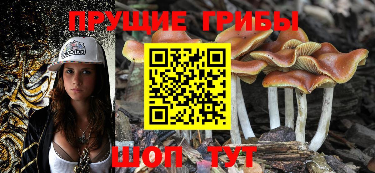 Галлюциногенные грибы Magic Shrooms Крымск