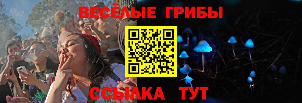 Крымск  Галлюциногенные грибы MAGIC MUSHROOMS  Вход с VPN 